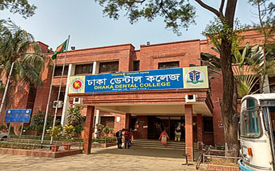 category image