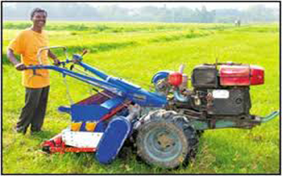 category image